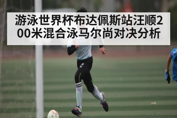游泳世界杯布达佩斯站汪顺200米混合泳马尔尚对决分析
